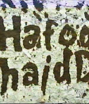 Hafod Haidd海报封面图