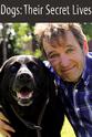 Owen Gower Dogs: Their Secret Lives