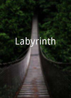 Labyrinth海报封面图