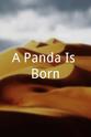 Denise Shrader A Panda Is Born