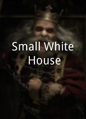Small White House海报封面图