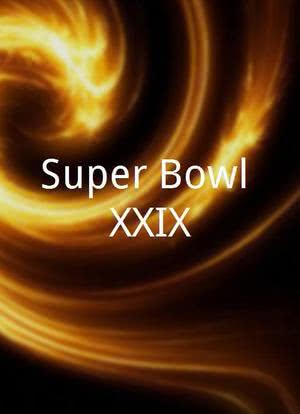 Super Bowl XXIX海报封面图