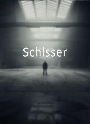 Schlösser海报封面图