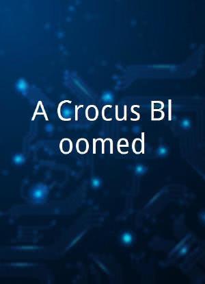 A Crocus Bloomed海报封面图