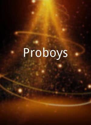 Proboys海报封面图