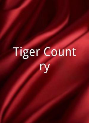 Tiger Country海报封面图