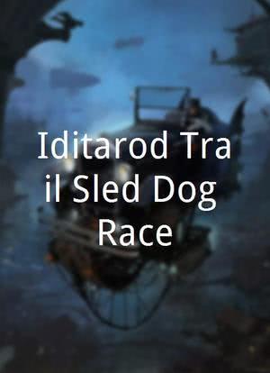 Iditarod Trail Sled Dog Race海报封面图