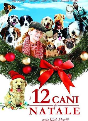 12条圣诞狗狗海报封面图