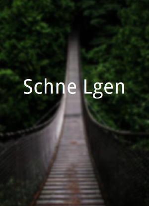 Schöne Lügen海报封面图
