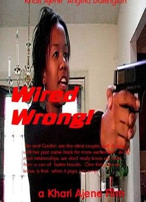 Wired Wrong!海报封面图