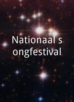 Nationaal songfestival海报封面图