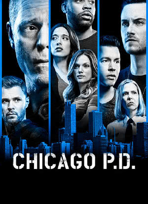 芝加哥警署 第一季海报封面图