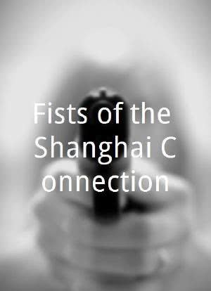 Fists of the Shanghai Connection海报封面图