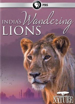 Nature: India's Wandering Lions海报封面图