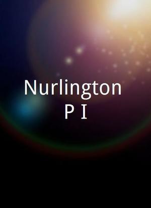 Nurlington P.I.海报封面图