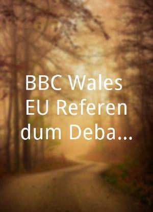 BBC Wales EU Referendum Debate海报封面图
