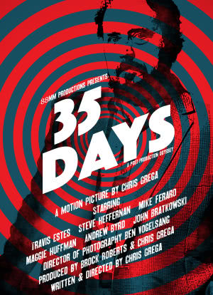 35 Days: A Post-Production Odyssey海报封面图