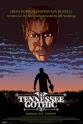 Jim Ousley Tennessee Gothic