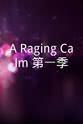 Joanna Craig A Raging Calm 第一季