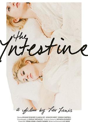The Intestine海报封面图
