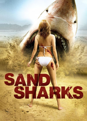 沙海狂鲨海报封面图
