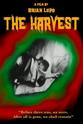 Timothy Huston The Harvest