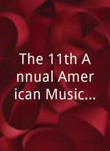 The 11th Annual American Music Awards
