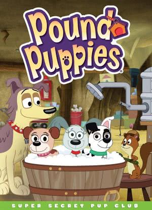 Pound Puppies海报封面图
