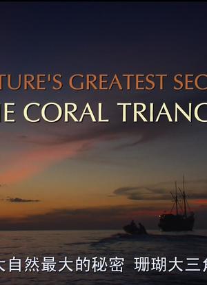 珊瑚三角洲 第一季海报封面图