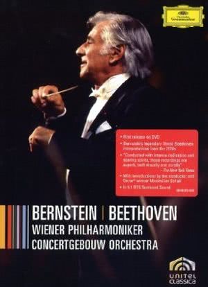 Bernstein/Beethoven海报封面图