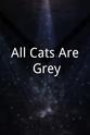 Rob Fitzpatrick All Cats Are Grey