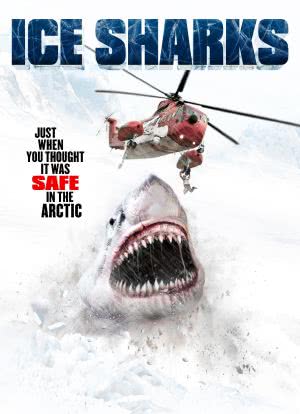 冰川鲨鱼海报封面图