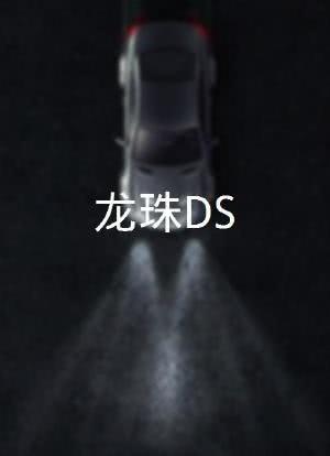 龙珠DS海报封面图