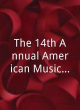 The 14th Annual American Music Awards
