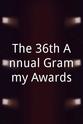 Mary Chapin Carpenter The 36th Annual Grammy Awards