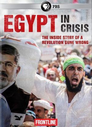 Egypt in Crisis海报封面图