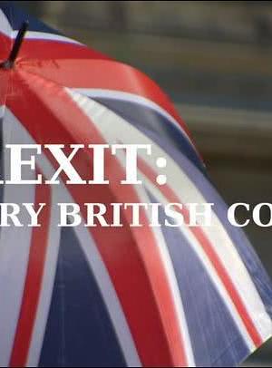 Brexit: A Very British Coup?海报封面图