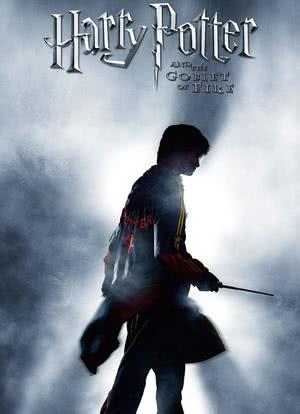 哈利·波特与火焰杯：魔法背后海报封面图