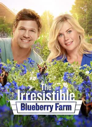 The Irresistible Blueberry Farm海报封面图