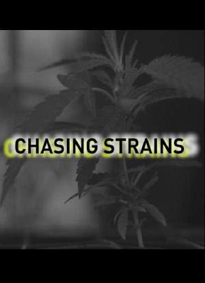 Chasing Strains海报封面图