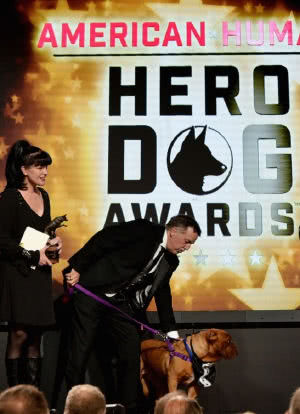 2016 Hero Dog Awards海报封面图