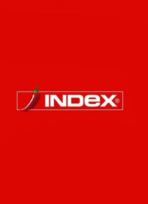 Index.hr海报封面图