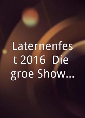 Laternenfest 2016: Die große Show vom Saale-Strand海报封面图