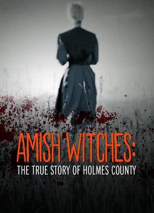 Amish Witches: The True Story of Holmes County海报封面图
