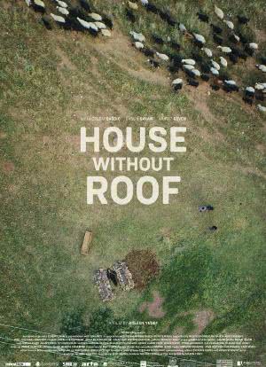 没有屋顶的房子海报封面图