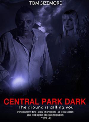 Central Park Dark海报封面图