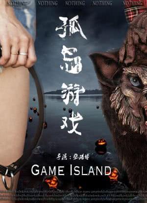 孤岛游戏海报封面图