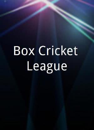 Box Cricket League海报封面图