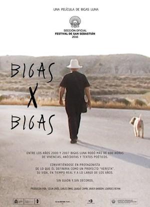 Bigas x Bigas海报封面图