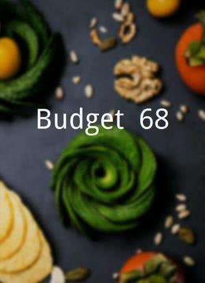 Budget `68海报封面图